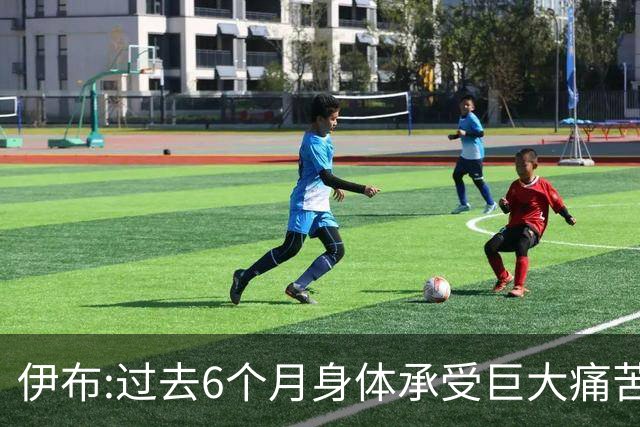 伊布:过去6个月身体承受巨大痛苦 只为帮球队夺冠